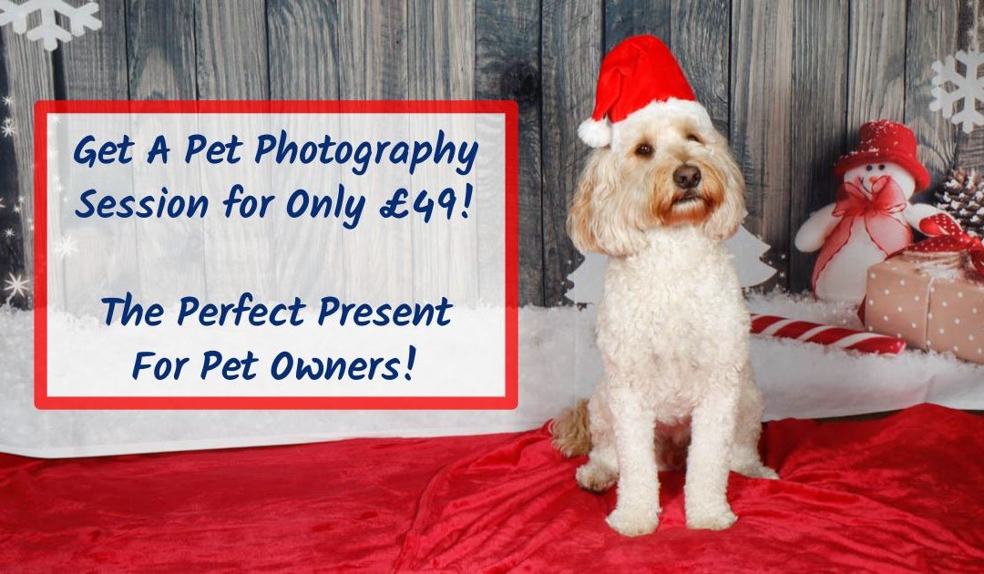 Get A Pet Photography Session For Only £49!