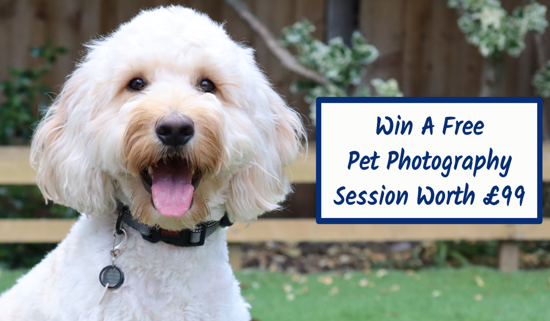 Win A Free Pet Photography Session!