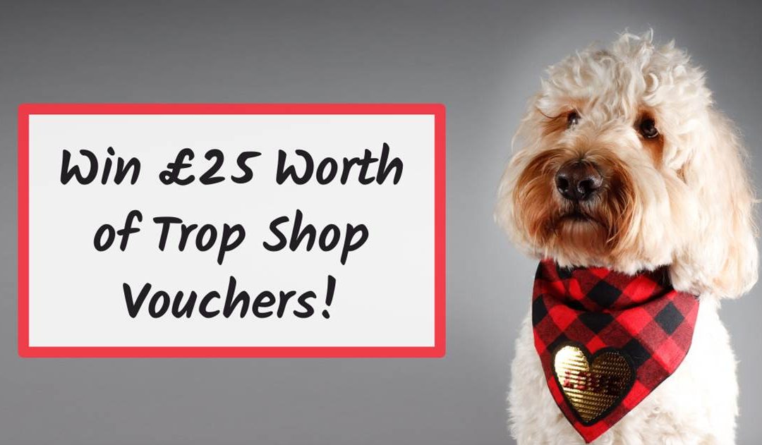 Win £25 of Trop Shop Vouchers with Footsteps Pet Photography