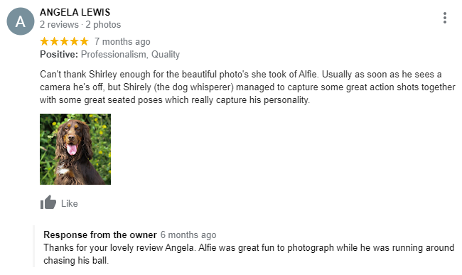5-Star Google Review for Footsteps Pet Photography Essex
