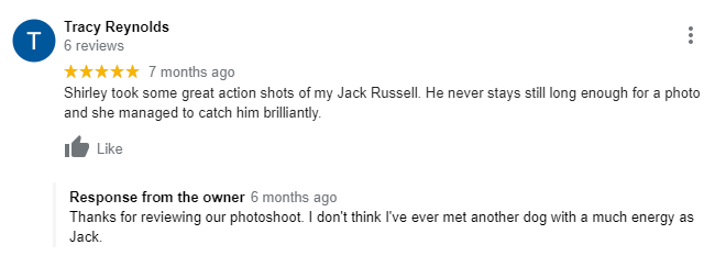 5-Star Google Review for Footsteps Pet Photography Essex