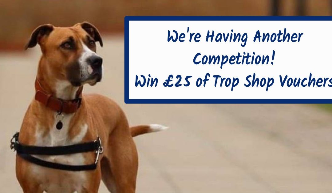 We’re Having Another Competition! Win £25 of Trop Shop Vouchers…